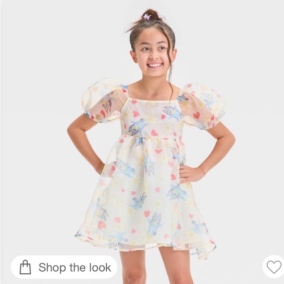Disney Other - Girls Bluey and Bingo Floral Organza Puff Sleeve Valentines Dress